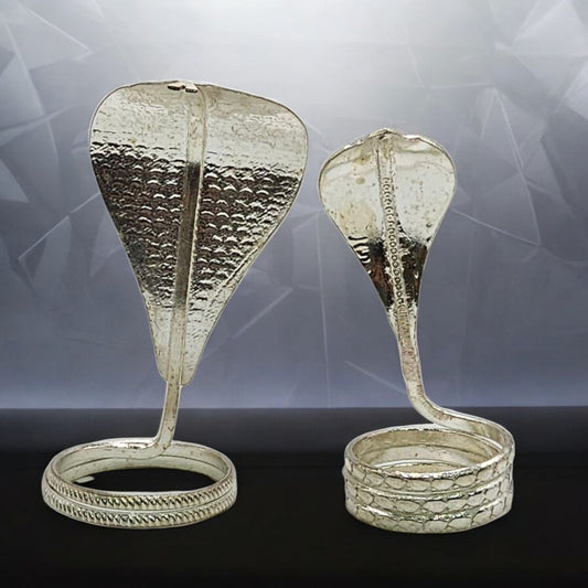 Sarva Raksha Serpent Duo In Silver /Naag Naagin Pair In Silver