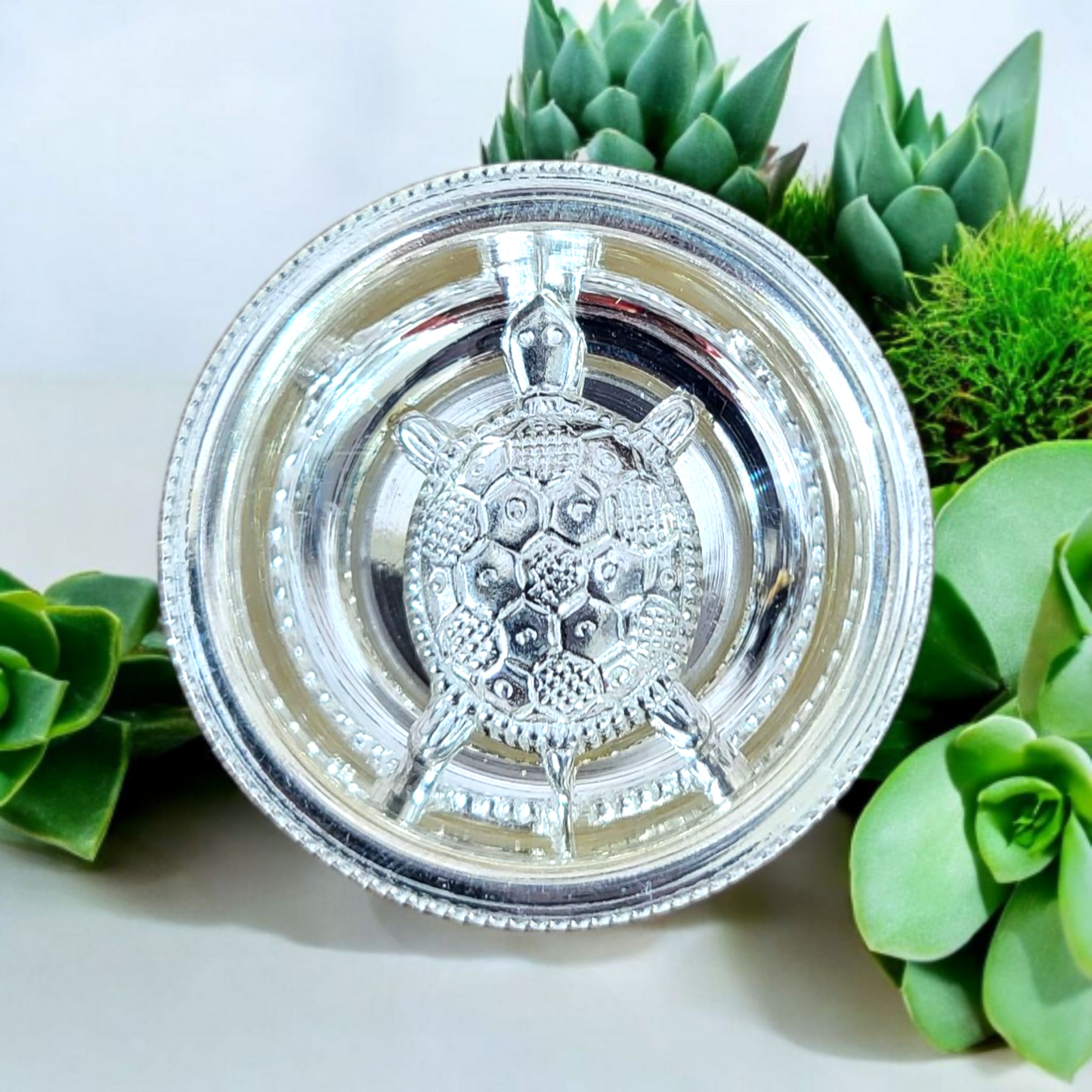 Silver Turtle with plate