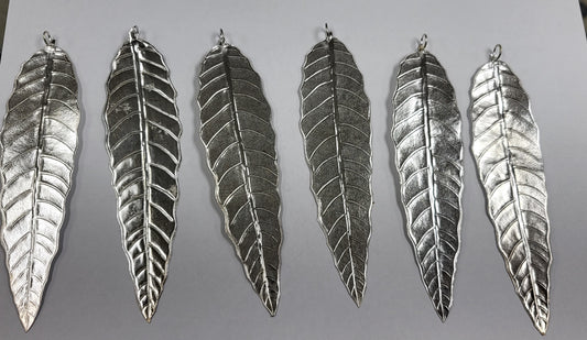 Silver asopalav leaves