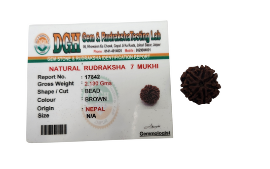 RUDRAKSH