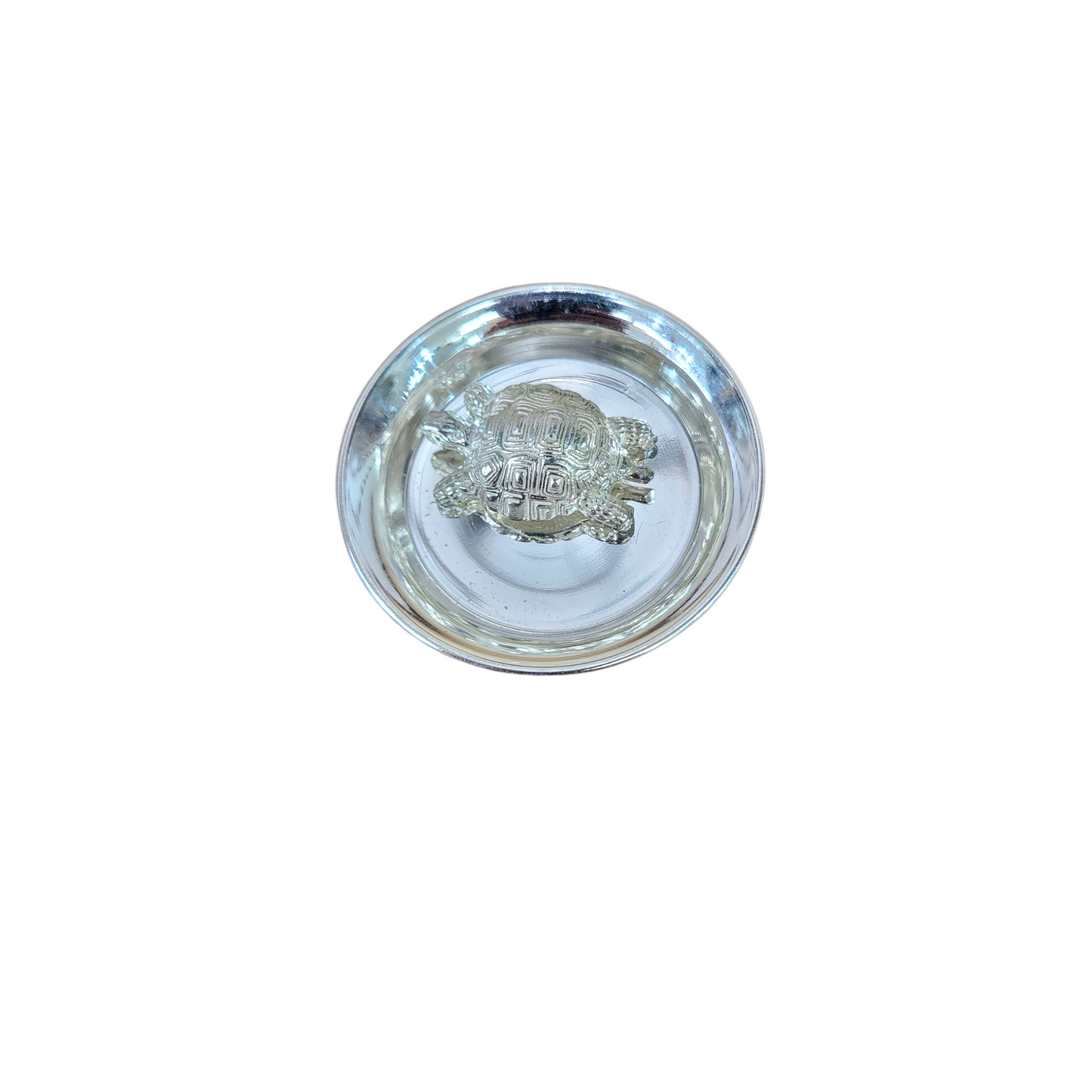 Silver Turtle with silver plate