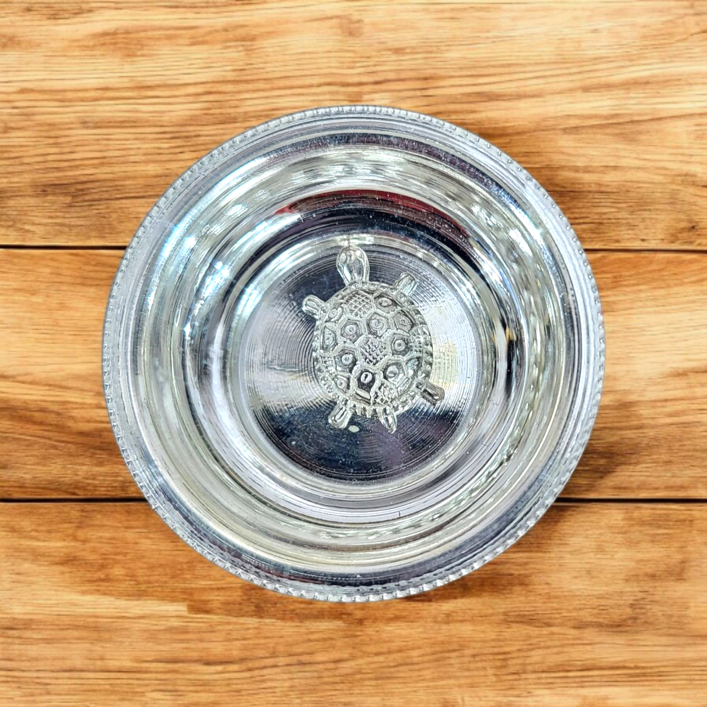 Silver Turtle with Silver plate