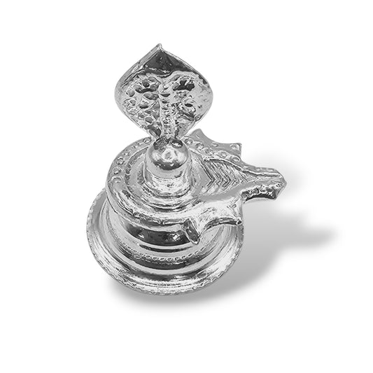 Mahadev Blessings Silver Shivling