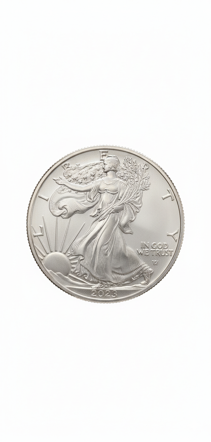 1 oz American Eagle Silver Coin
