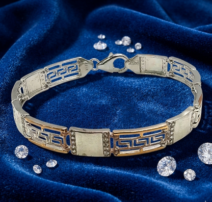 Titan Dual-Tone Silver Men's Bracelet